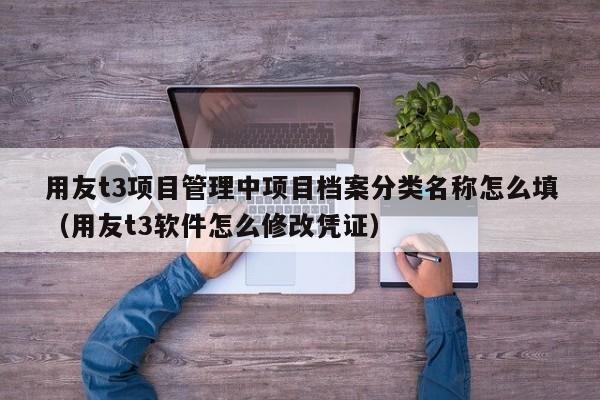 用友t3项目管理中项目档案分类名称怎么填（用友t3软件怎么修改凭证）