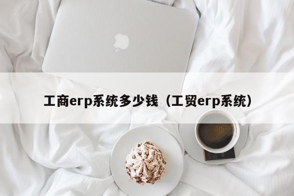 工商erp系统多少钱（工贸erp系统）