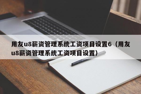 用友u8薪资管理系统工资项目设置6（用友u8薪资管理系统工资项目设置）