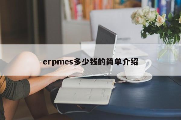 erpmes多少钱的简单介绍