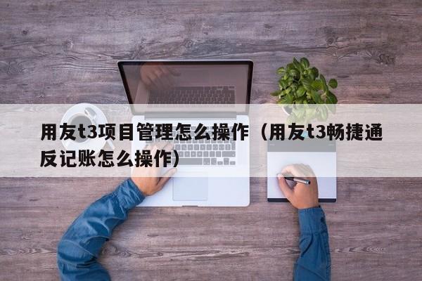 用友t3项目管理怎么操作（用友t3畅捷通反记账怎么操作）