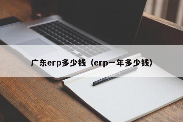 广东erp多少钱（erp一年多少钱）