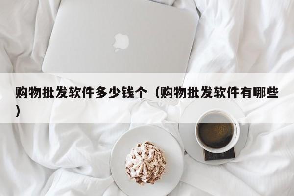 购物批发软件多少钱个（购物批发软件有哪些）