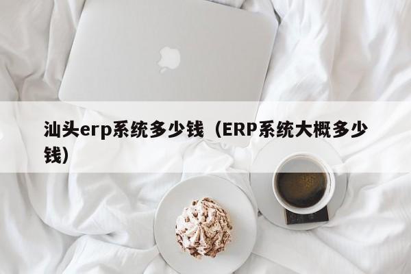 汕头erp系统多少钱（ERP系统大概多少钱）