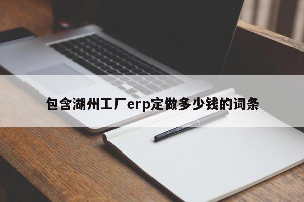 包含湖州工厂erp定做多少钱的词条