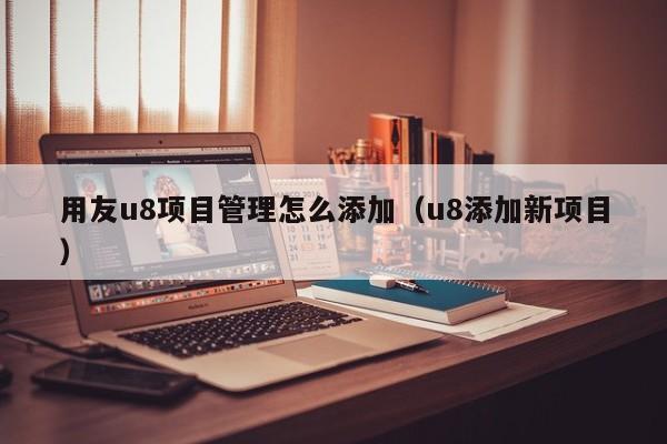 用友u8项目管理怎么添加（u8添加新项目）