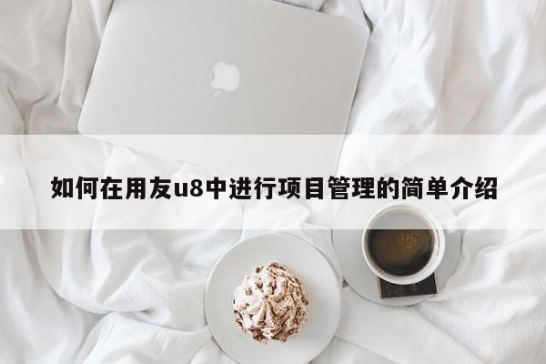 如何在用友u8中进行项目管理的简单介绍