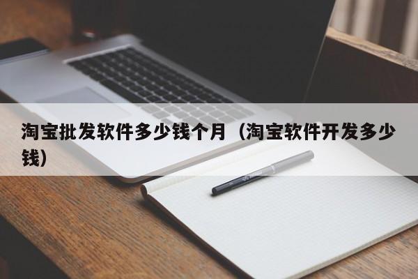 淘宝批发软件多少钱个月（淘宝软件开发多少钱）