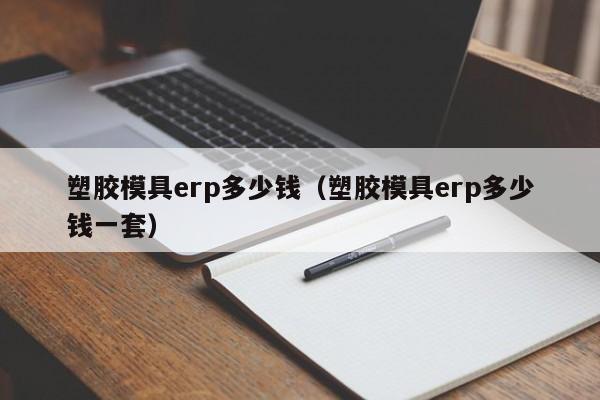 塑胶模具erp多少钱（塑胶模具erp多少钱一套）