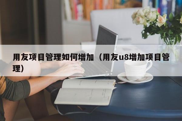 用友项目管理如何增加（用友u8增加项目管理）