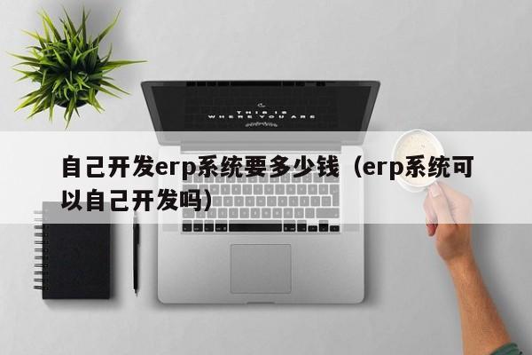 自己开发erp系统要多少钱（erp系统可以自己开发吗）