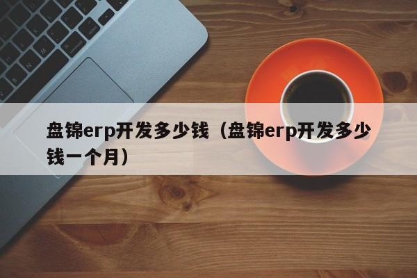 盘锦erp开发多少钱（盘锦erp开发多少钱一个月）