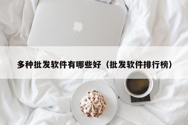 多种批发软件有哪些好（批发软件排行榜）