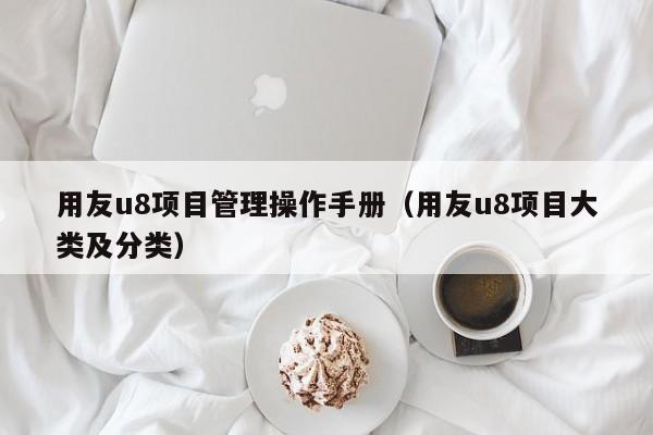 用友u8项目管理操作手册（用友u8项目大类及分类）