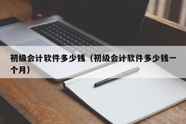 初级会计软件多少钱（初级会计软件多少钱一个月）