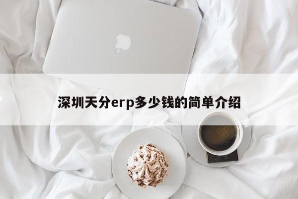 深圳天分erp多少钱的简单介绍