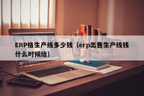 ERP格生产线多少钱（erp出售生产线钱什么时候给）