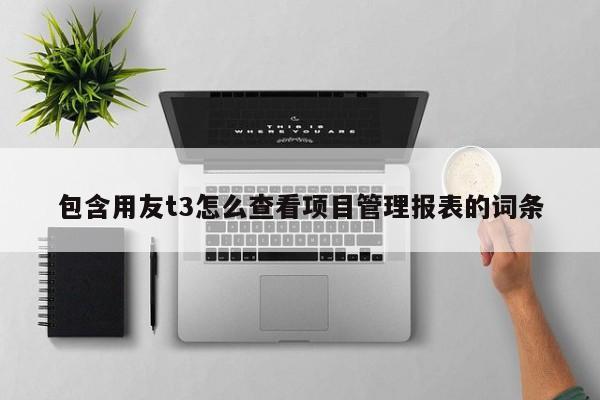 包含用友t3怎么查看项目管理报表的词条