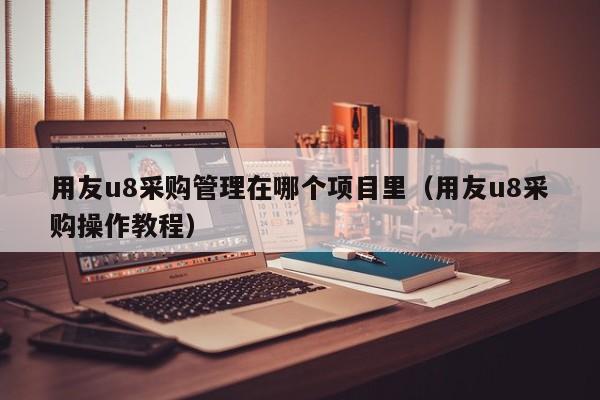 用友u8采购管理在哪个项目里（用友u8采购操作教程）