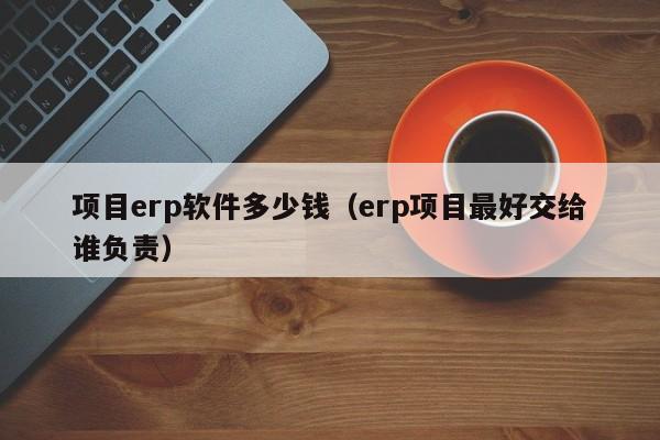 项目erp软件多少钱（erp项目最好交给谁负责）