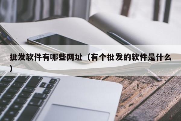 批发软件有哪些网址（有个批发的软件是什么）