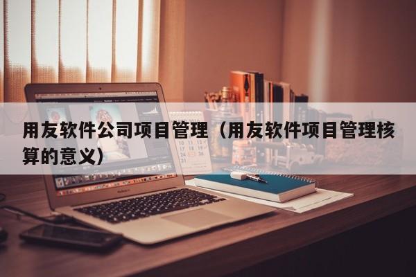 用友软件公司项目管理（用友软件项目管理核算的意义）