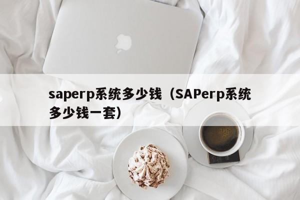 saperp系统多少钱（SAPerp系统多少钱一套）