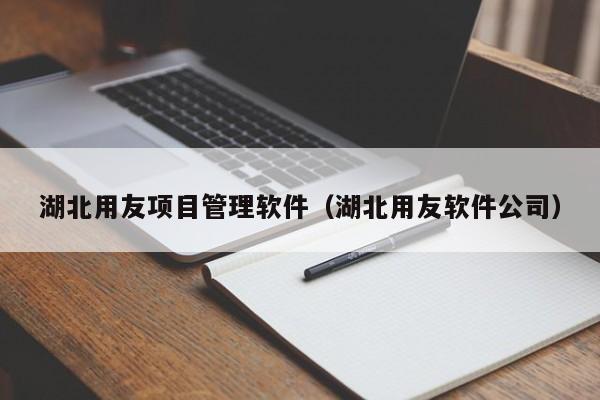 湖北用友项目管理软件（湖北用友软件公司）