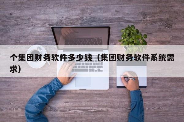 个集团财务软件多少钱（集团财务软件系统需求）