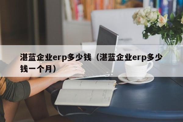 湛蓝企业erp多少钱（湛蓝企业erp多少钱一个月）