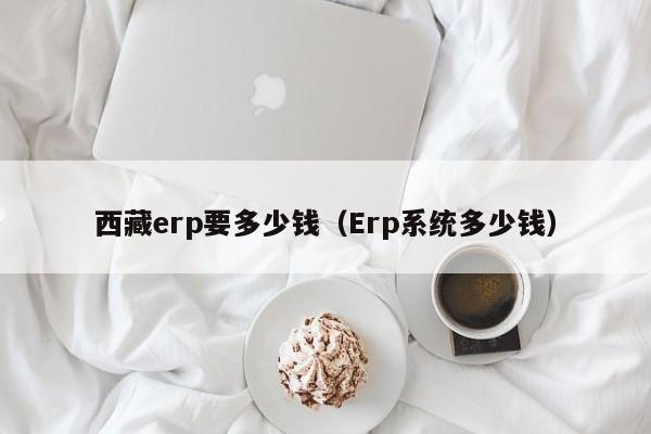 西藏erp要多少钱（Erp系统多少钱）