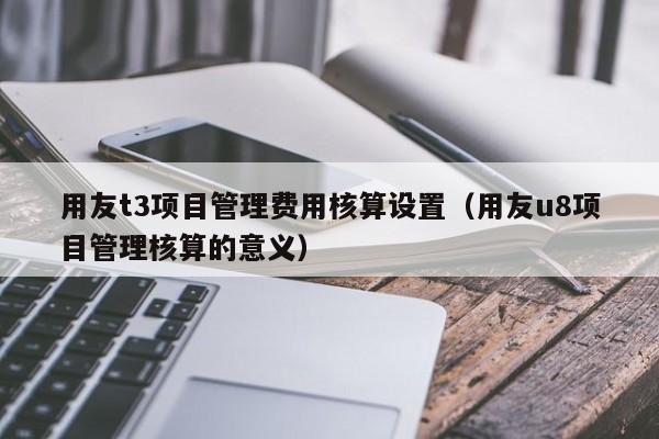 用友t3项目管理费用核算设置（用友u8项目管理核算的意义）