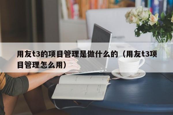 用友t3的项目管理是做什么的（用友t3项目管理怎么用）