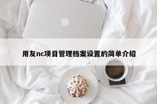 用友nc项目管理档案设置的简单介绍