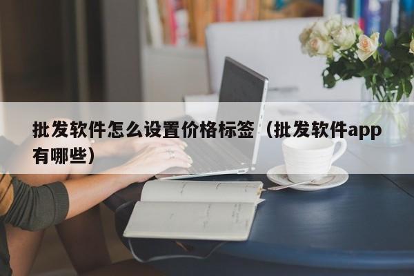 批发软件怎么设置价格标签（批发软件app有哪些）