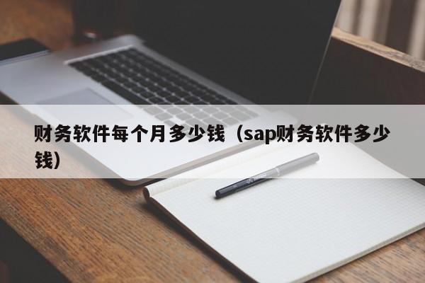 财务软件每个月多少钱（sap财务软件多少钱）