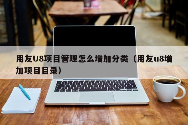 用友U8项目管理怎么增加分类（用友u8增加项目目录）