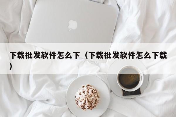 下载批发软件怎么下（下载批发软件怎么下载）