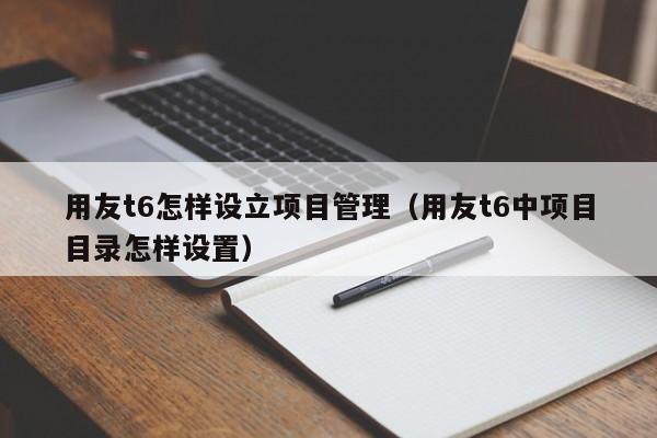 用友t6怎样设立项目管理（用友t6中项目目录怎样设置）