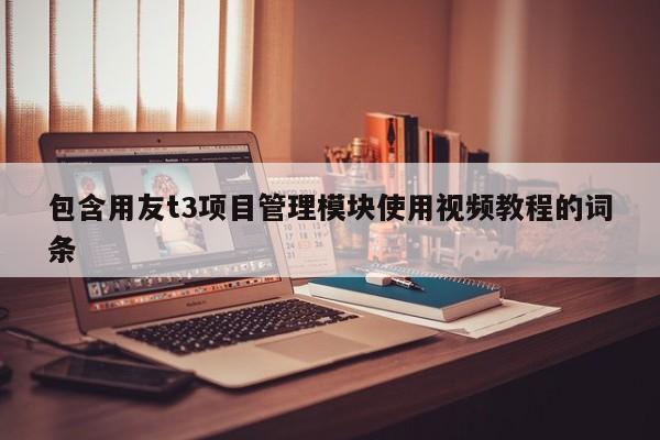 包含用友t3项目管理模块使用视频教程的词条