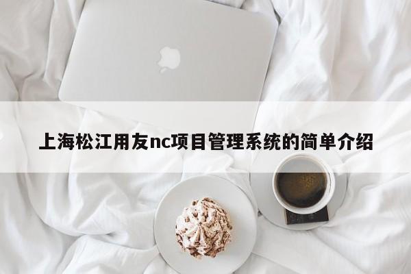 上海松江用友nc项目管理系统的简单介绍