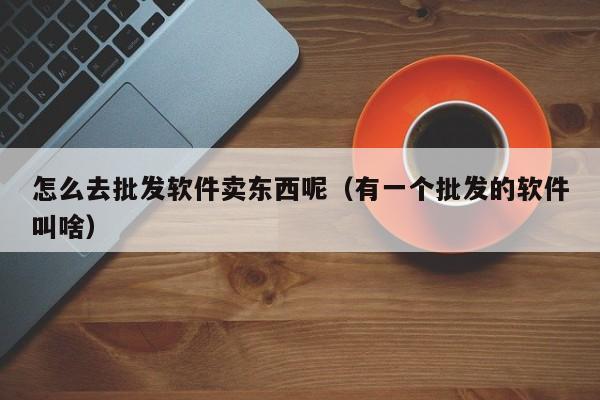 怎么去批发软件卖东西呢（有一个批发的软件叫啥）