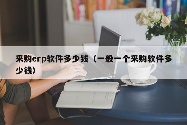 采购erp软件多少钱（一般一个采购软件多少钱）