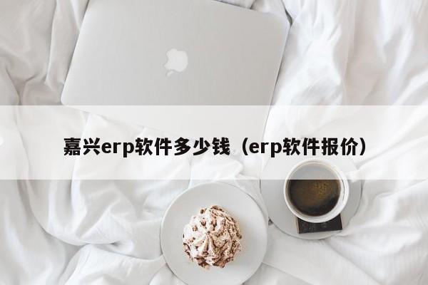 嘉兴erp软件多少钱（erp软件报价）