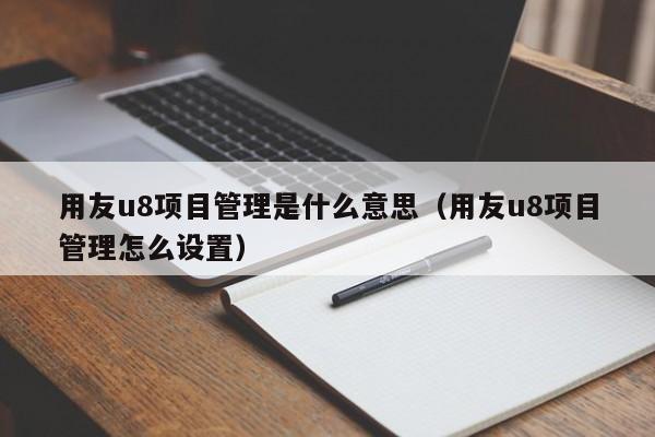 用友u8项目管理是什么意思（用友u8项目管理怎么设置）