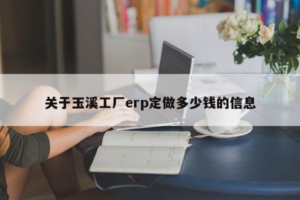 关于玉溪工厂erp定做多少钱的信息