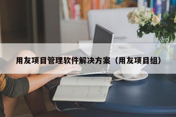 用友项目管理软件解决方案（用友项目组）