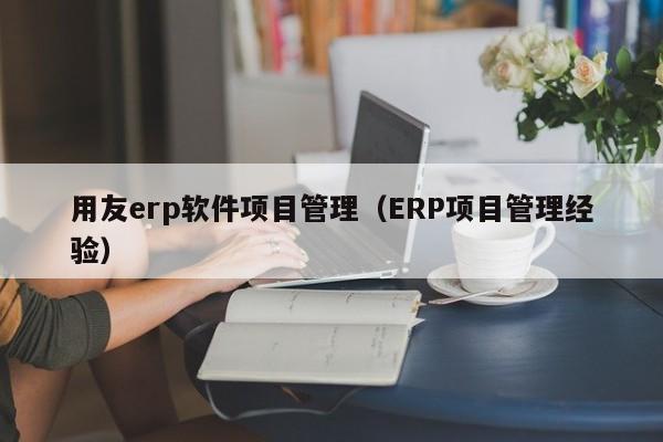 用友erp软件项目管理（ERP项目管理经验）