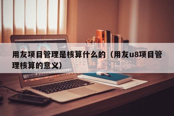 用友项目管理是核算什么的（用友u8项目管理核算的意义）