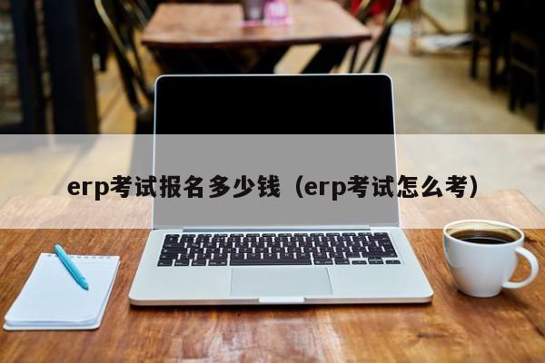 erp考试报名多少钱（erp考试怎么考）